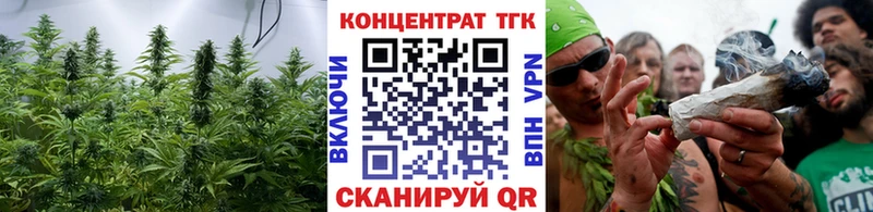 ТГК концентрат  продажа наркотиков  Болотное 